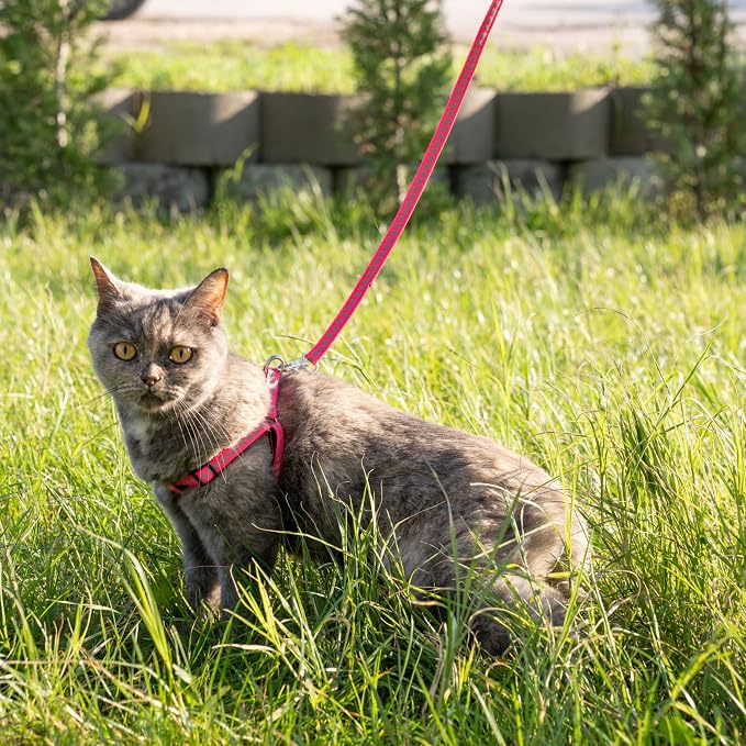 Filbert Cat Harness and Leash Set - Image 9