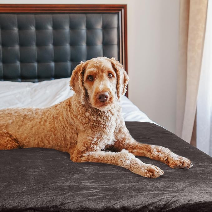 PETMAKER Dog Blanket - Image 8