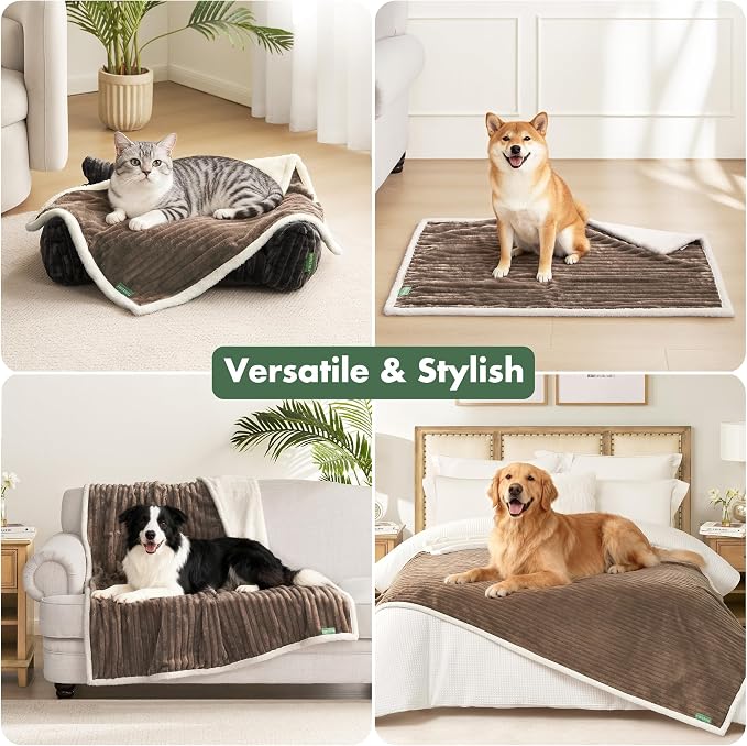 Waterproof Dog Blanket for Large Dogs - Image 5