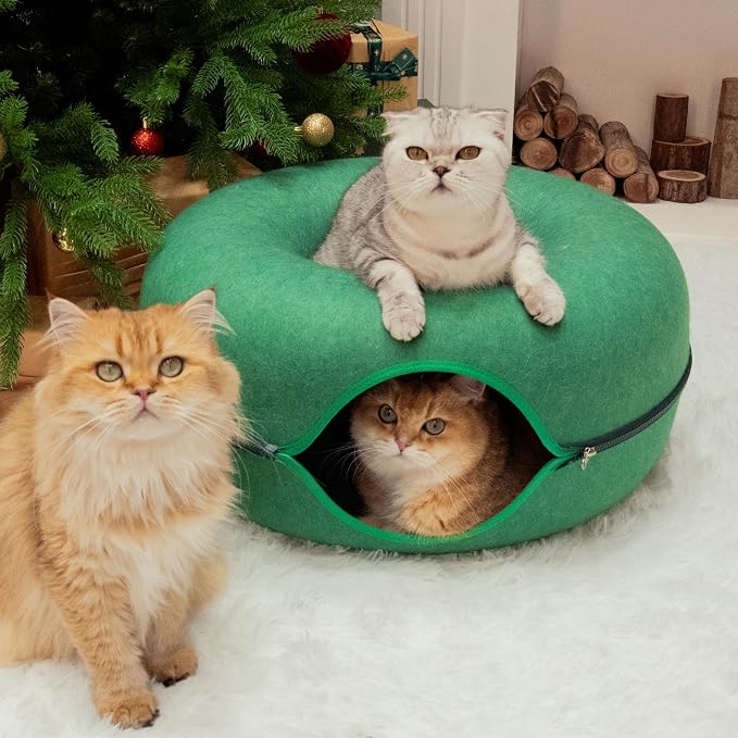 Cattasaurus Peekaboo Cat Cave Donut - Image 3