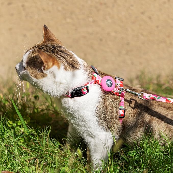 Cat Harness and Leash Escape Proof - Image 5