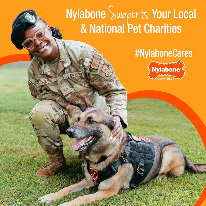 Nylabone New Puppy Starter Kit, 5 Chew Toys and 1 Natural Treat - Image 12