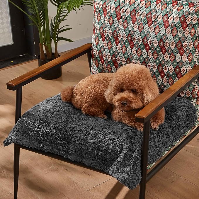 Kritter Planet Waterproof Dog Blankets - Image 2