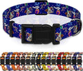 Dog Collar, Classical Birthday Gift Boys Girls Puppy Collar