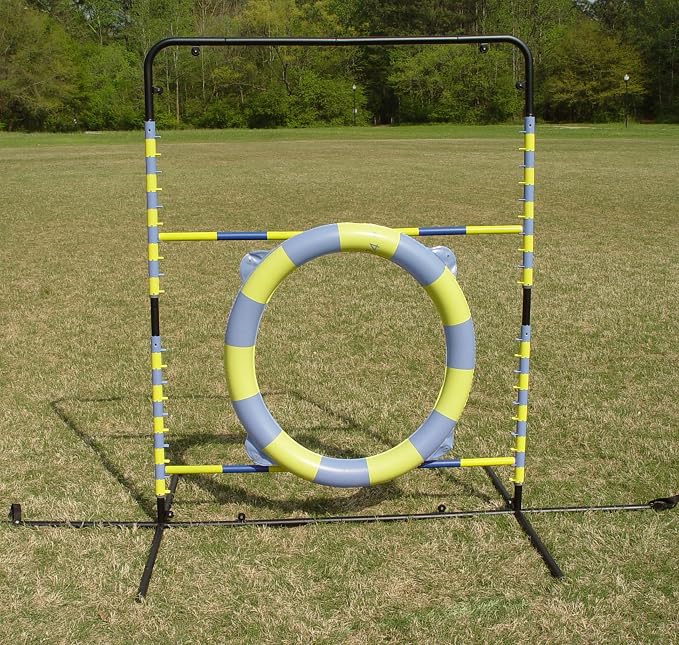 Agility Tire Jump - Image 4