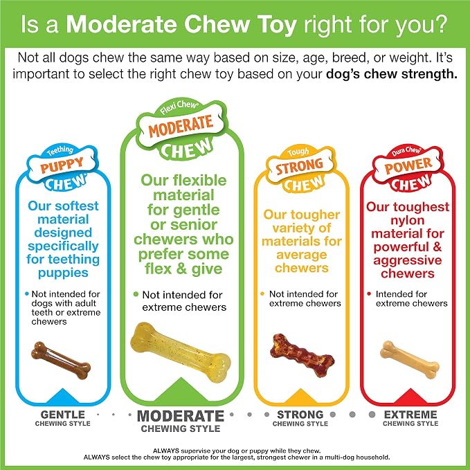 Nylabone Original Bone Flexi Chew Toy - Image 12
