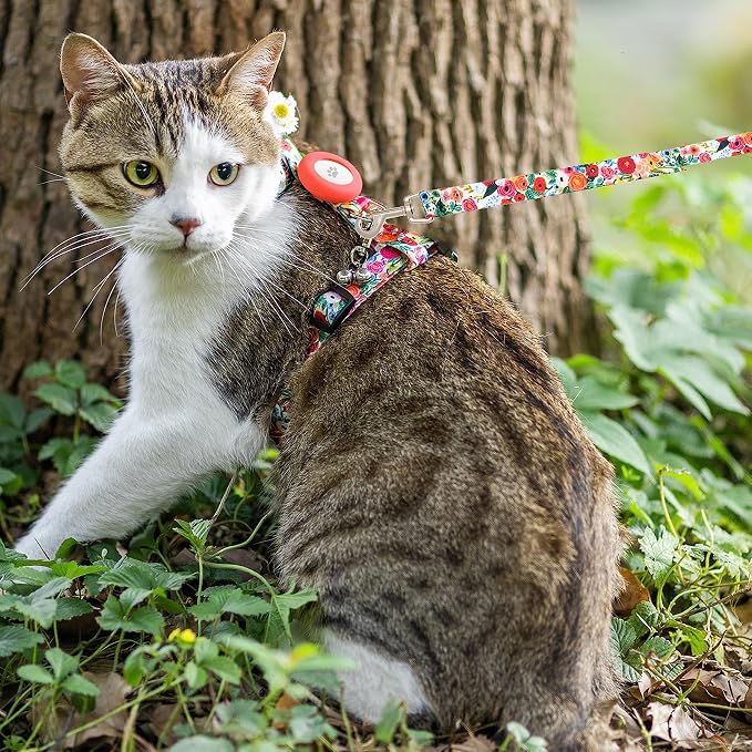 Cat Harness and Leash Escape Proof - Image 5