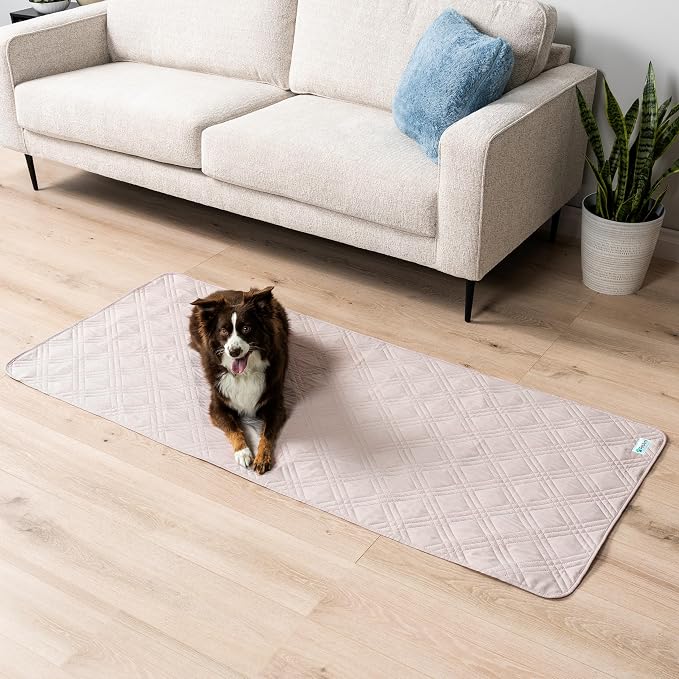 PetAmi Waterproof Couch Cover for Dogs, Waterproof Pet Blanket, Reversible - Image 2