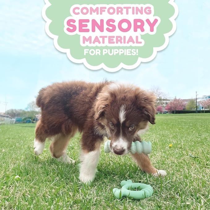 Nylabone Sensory Material Soothing Puppy Chew Toy Bundle, Toys - Image 2