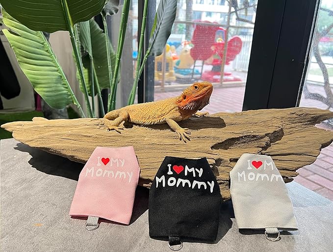 Bearded Dragon Carrier Backpack - Image 6