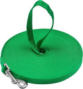 Long Dog Puppy Obedience Recall Training Agility Lead, Leash by DowntownPetSupply