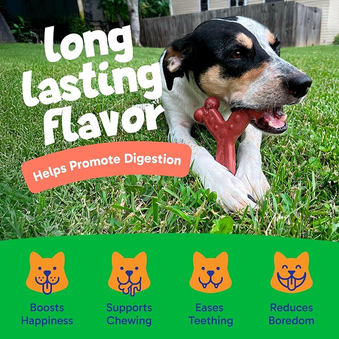 Chew'ems Durable Chew Toys for Small Dogs | Safe, Long-Lasting & Flavorful Chew - Image 4