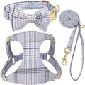 Beirui Cute Small Dog Harness Collar and Leash Set by Beirui
