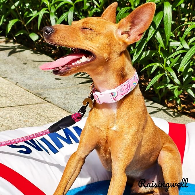 Cute Dog Collar Rainbow Pattern - Image 6