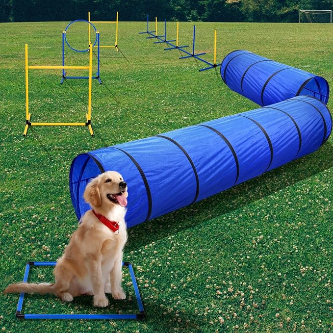 Dog Agility Training Equipment, Dog Agility Course Backyard Set - Image 8