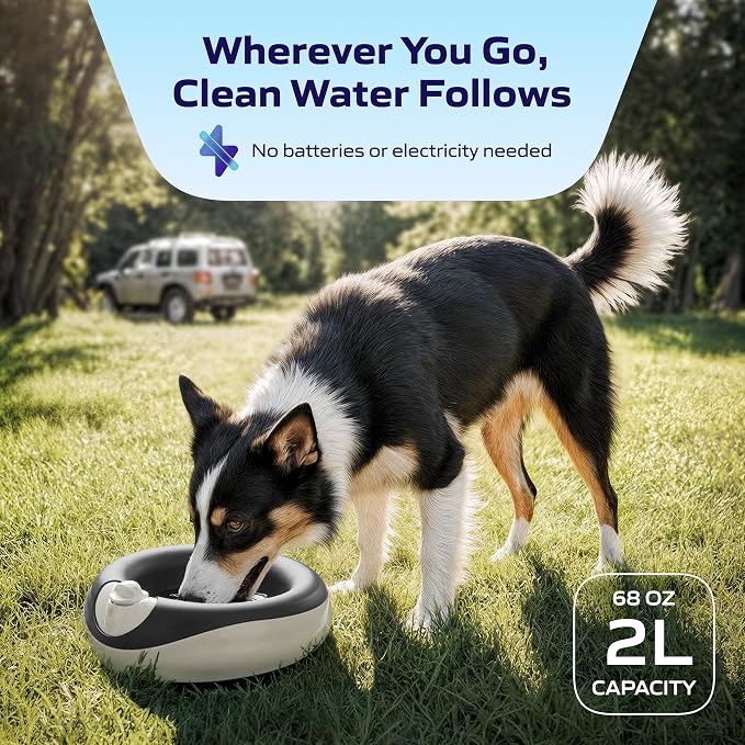 Filtered Portable Dog Water Dispenser, 2L / 68oz, Automatic Pet Water Dispenser - Image 6