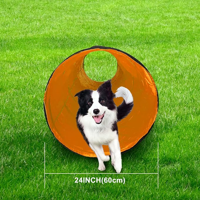 Dog Agility Tunnel, Dog Agility Equipment, Dog Agility Training - Image 5