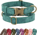 Didog Soft PU Leather Dog Collar, Stylish Quick Released Dog Collar by Didog