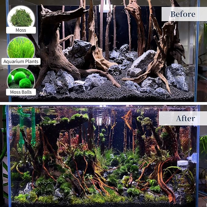 majoywoo Natural Large Driftwood - Image 6