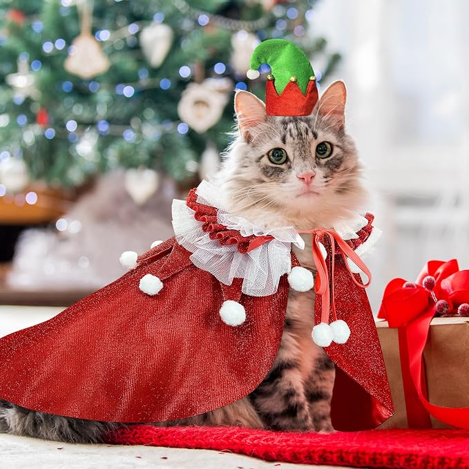 KOUPA Pet Christmas Costume - Image 2