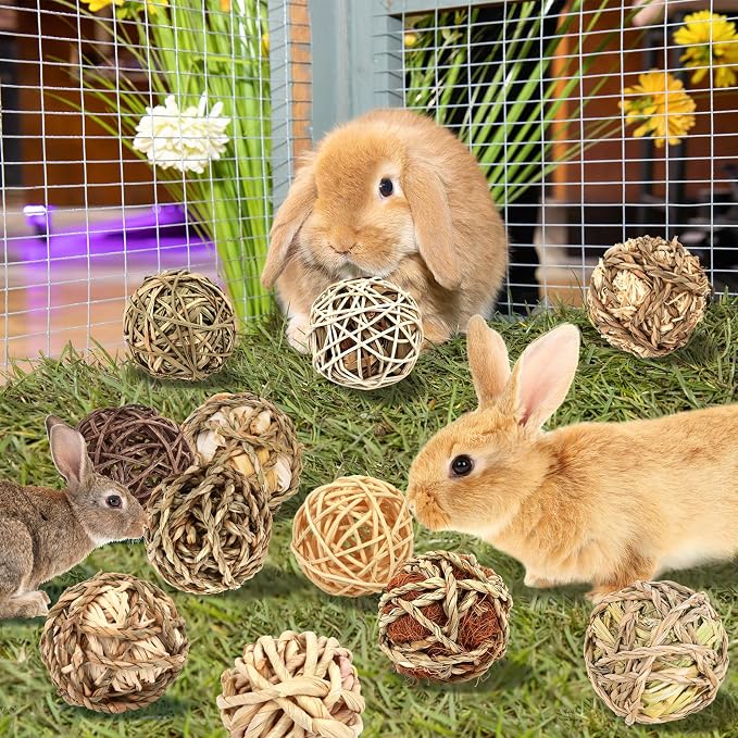 Bunny Chew Grass Balls, Rolling Chew Toys - Image 3