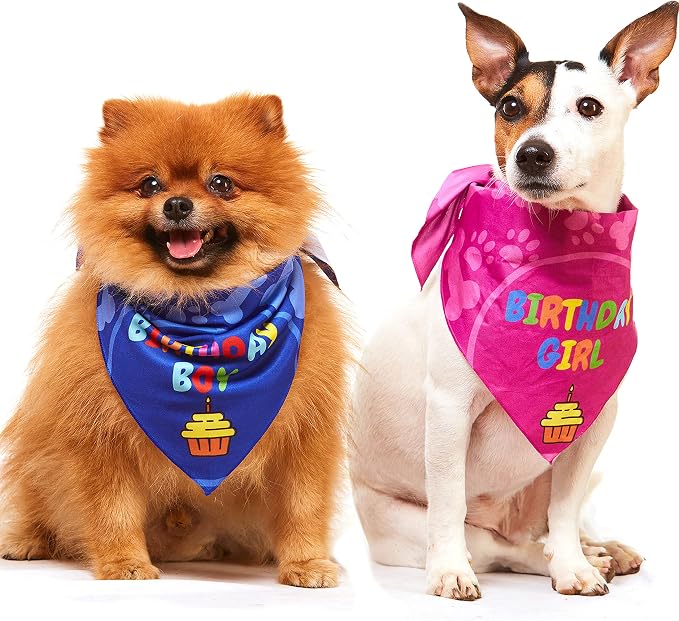 Dog Birthday Bandana by OdiStyle