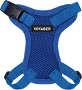 Voyager Step-in Lock Adjustable Cat Harness w. Cat Leash Combo Set by BestPetSuppliesLLC