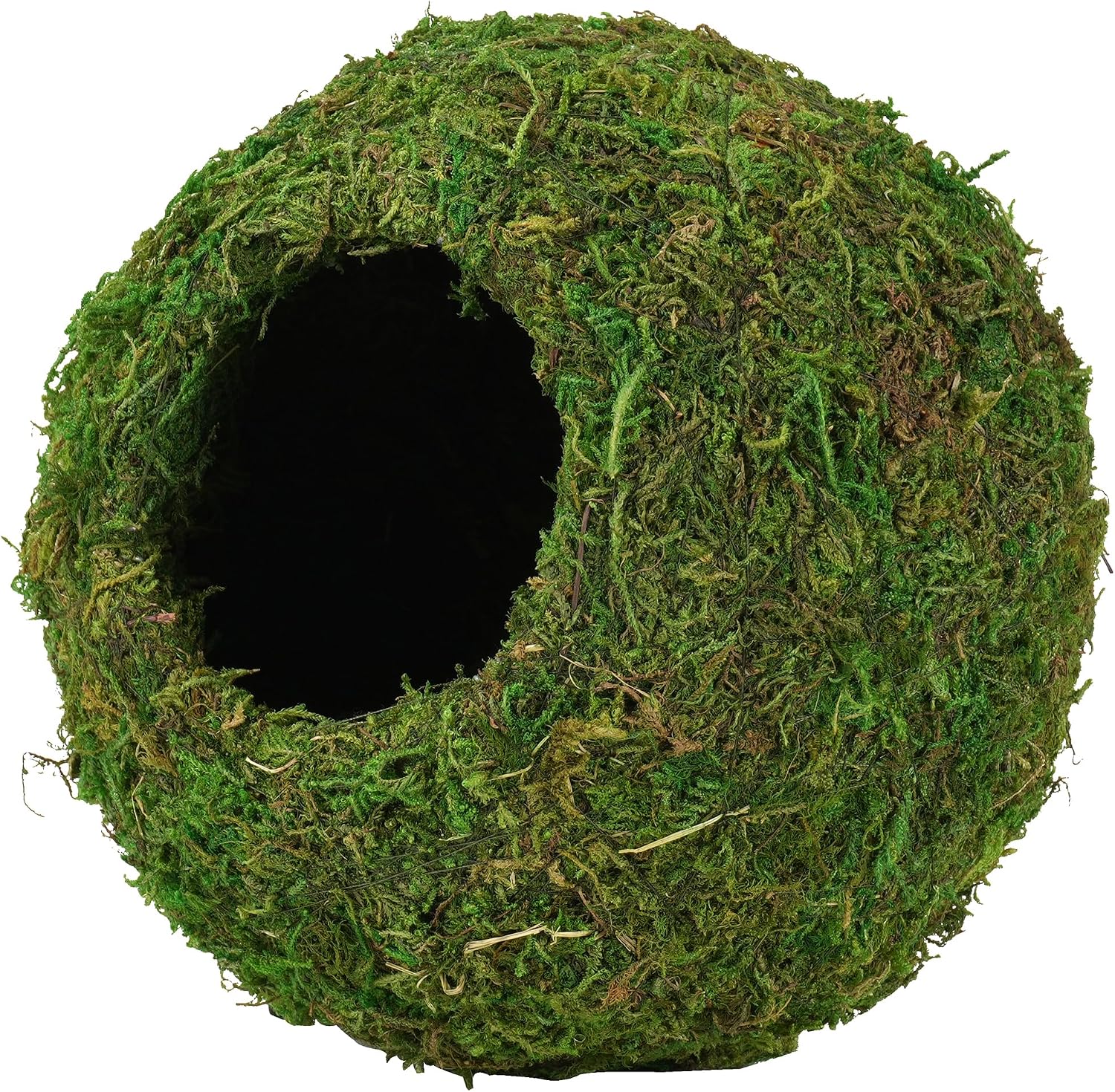 USMOLA 4" Woodland Green Mossy Reptile Caves - GlobalHabitat Supply