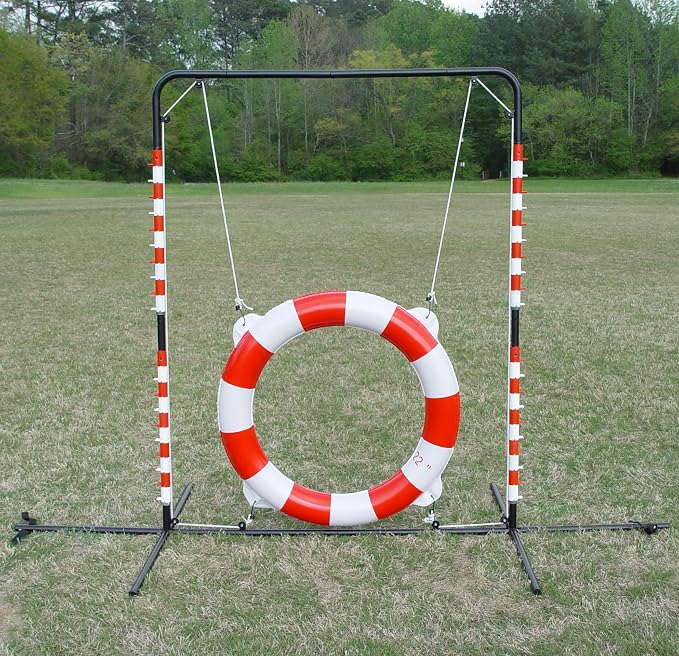 Agility Tire Jump - Image 6