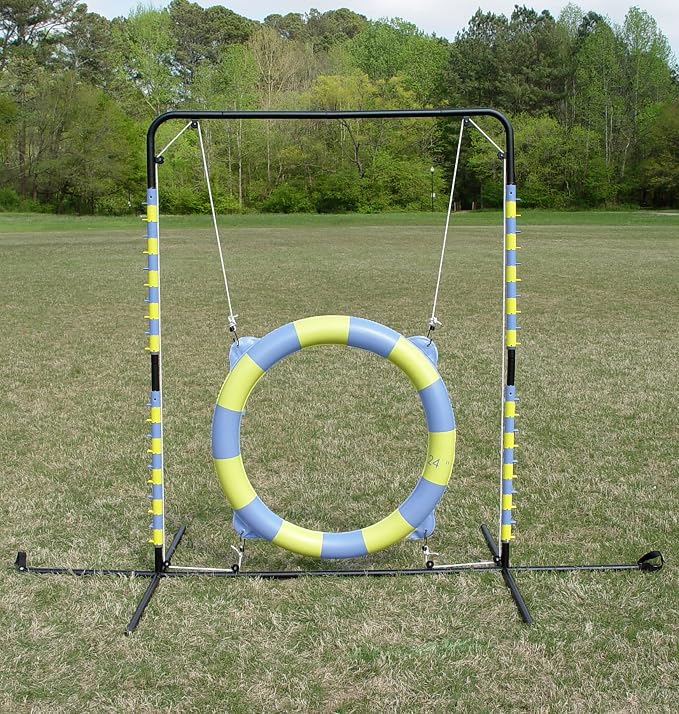 Agility Tire Jump - Image 3