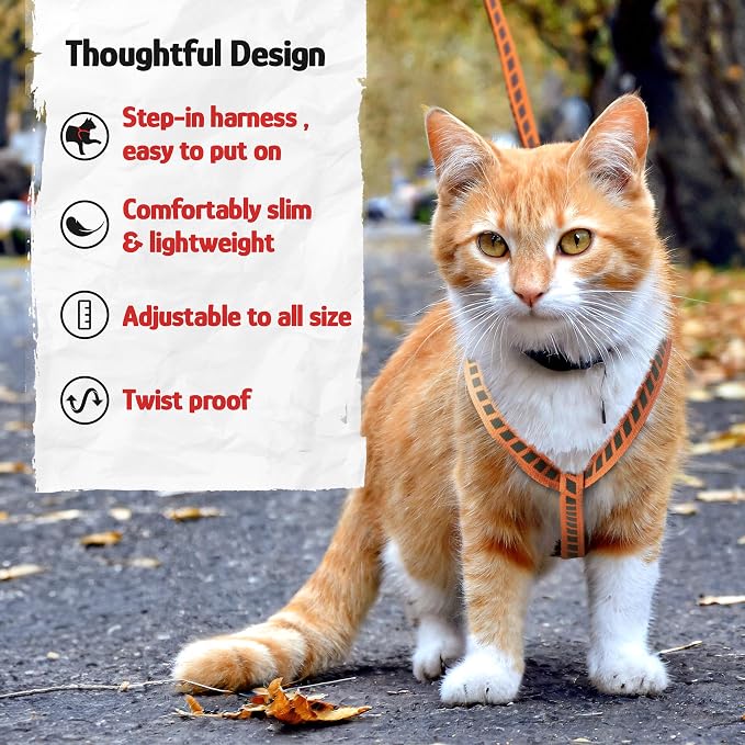 Filbert Cat Harness and Leash Set - Image 6
