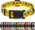 Dog Collar, Floral Boys Girls Puppy Collar, Adjustable Soft Pet Collar