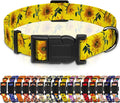 Dog Collar, Floral Puppy Collar by Seyezo
