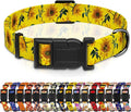 Dog Collar, Floral Boys Girls Puppy Collar by Seyezo