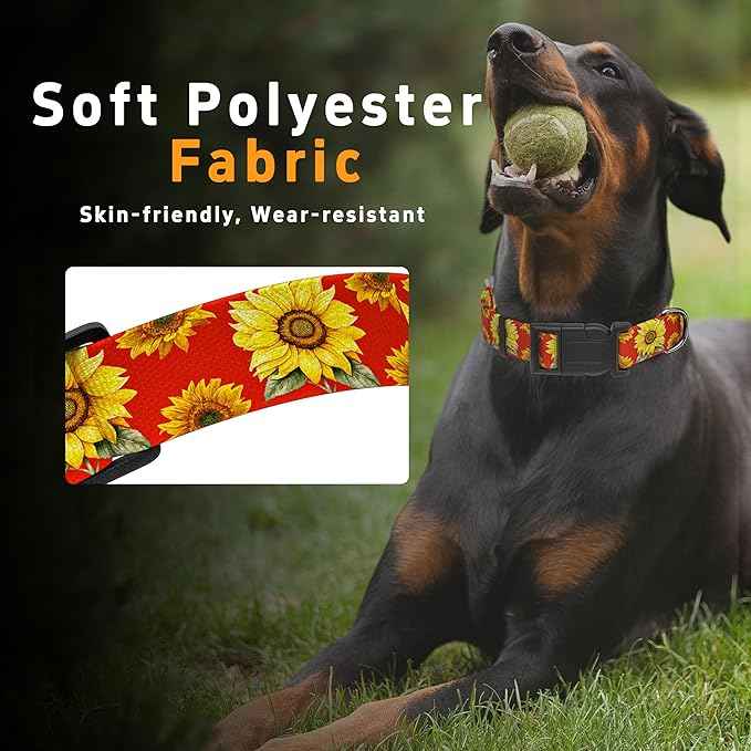 Dog Collar, Floral Boys Girls Puppy Collar