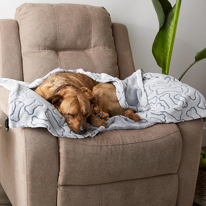 Bone Dry Embossed Bone Print Pet Blanket - Image 5