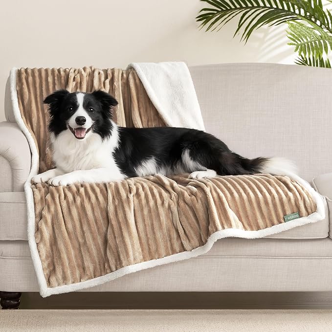 Waterproof Dog Blanket for Large Dogs - Image 2