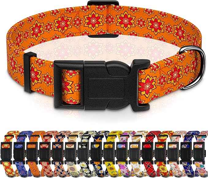 Dog Collar, Classical Indian Spirit Boys Girls Puppy Collar