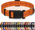 Dog Collar, Classical Indian Spirit Boys Girls Puppy Collar