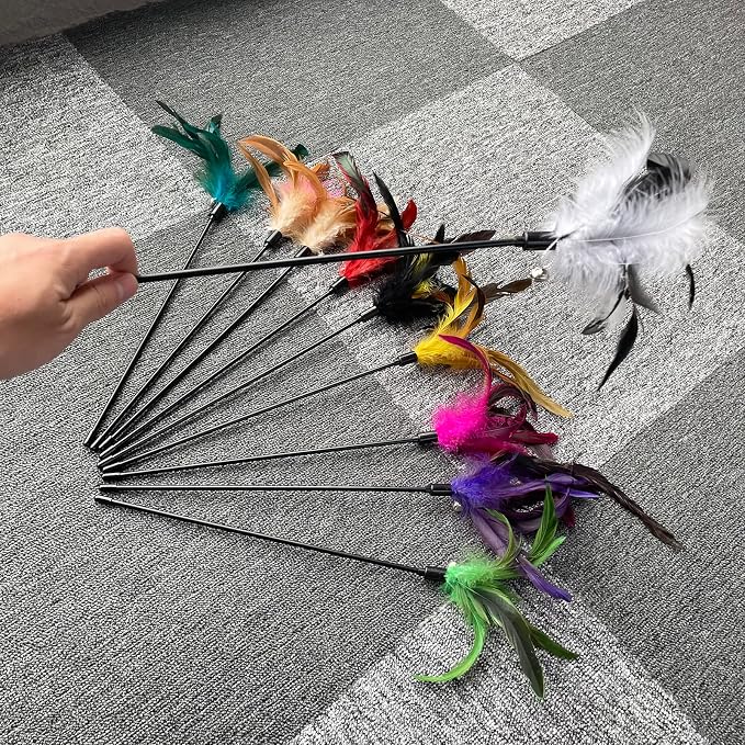 10-Pack Cat Feather Wand Toys - Image 4