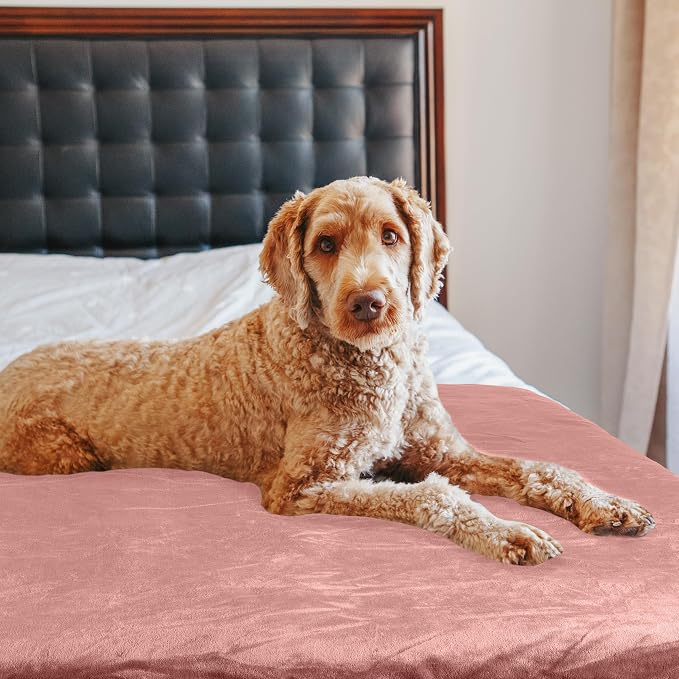 PETMAKER Dog Blanket - Image 8