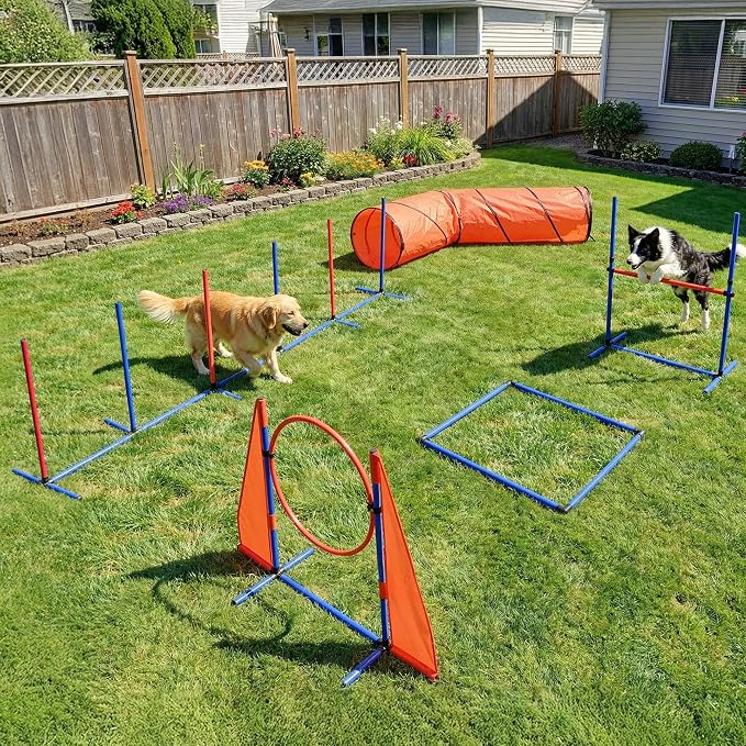 YITAHOME Dog Agility Training Equipment Set by YITAHOME