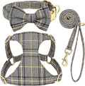 Beirui Cute Small Dog Harness Collar and Leash Set by Beirui