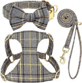 Beirui Cute Extra Small Dog Harness Collar and Leash Set by Beirui