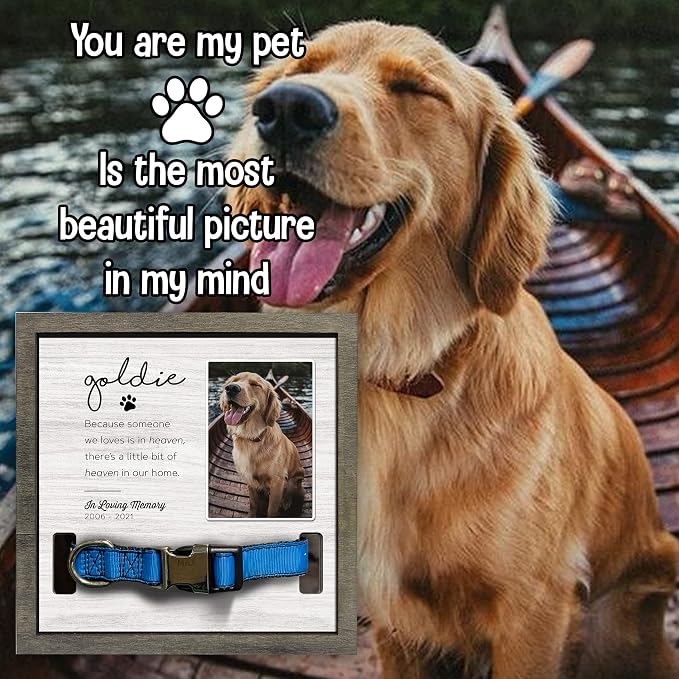 Customized Dog Collar Frame Memorial Pet Loss Sign - Image 6