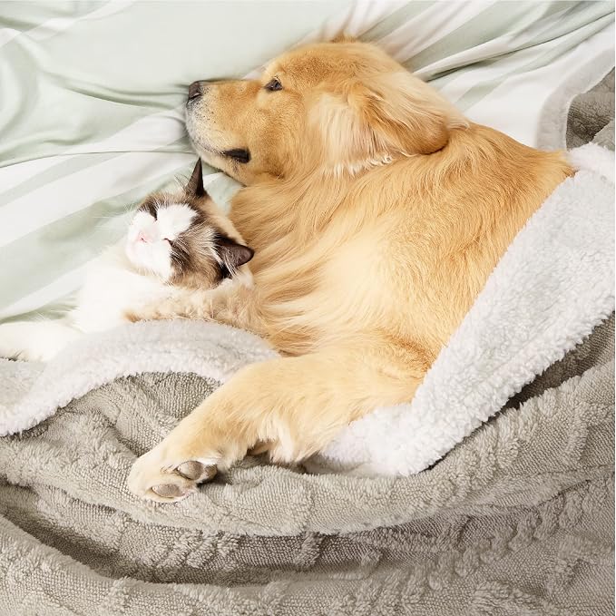 Bedsure Waterproof Dog Blanket for Large Dogs - Image 8