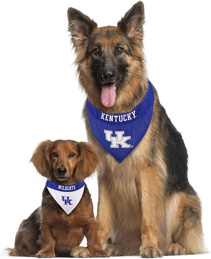 Pets First Collegiate Pet Accessories, Reversible Bandana, Kentucky Wildcats - Image 5