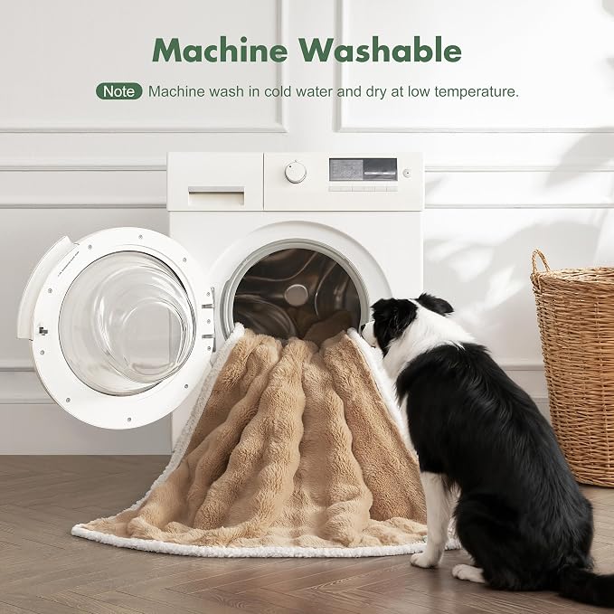 Soft Cozy Waterproof Twin Blanket - Image 6