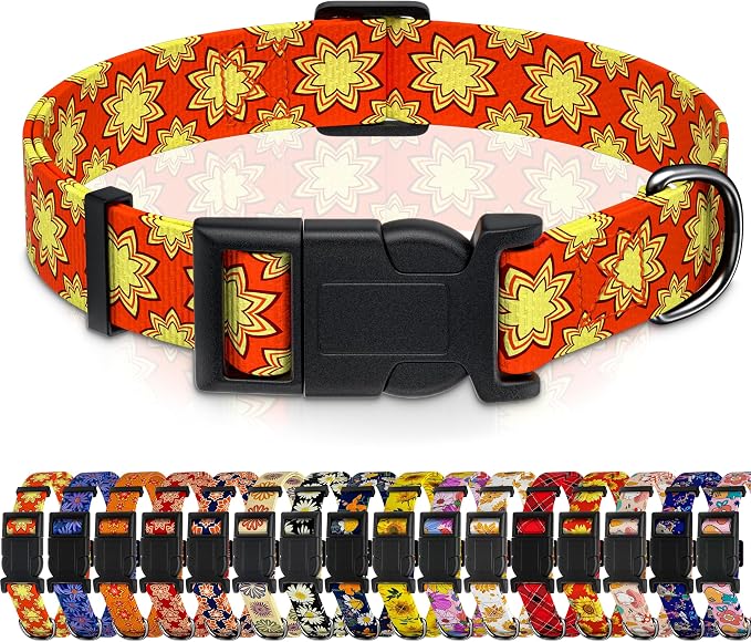 Dog Collar, Classical Indian Spirit Boys Girls Puppy Collar by Seyezo