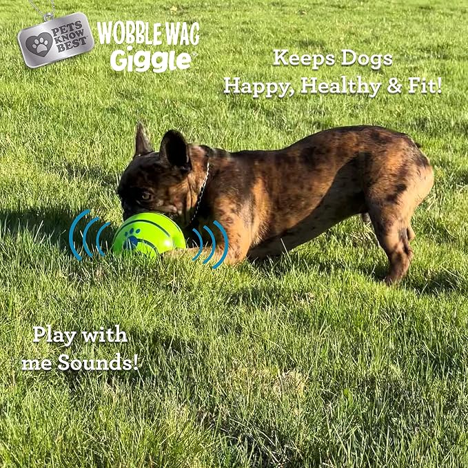 Wobble Wag Giggle Ball | Rolling Enrichment Toy - Image 4